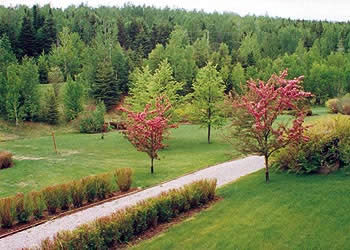 STA Sentier